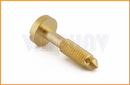Brass Sealing Screws